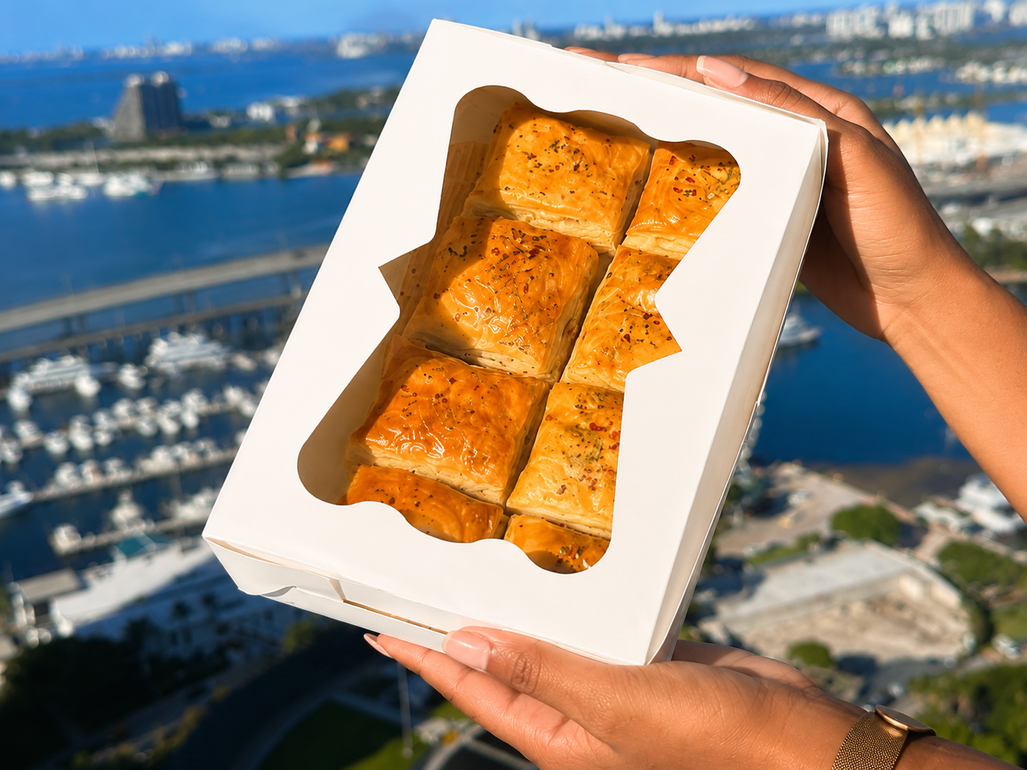 Box of six golden Haitian pâtés held up over the Miami skyline and marina